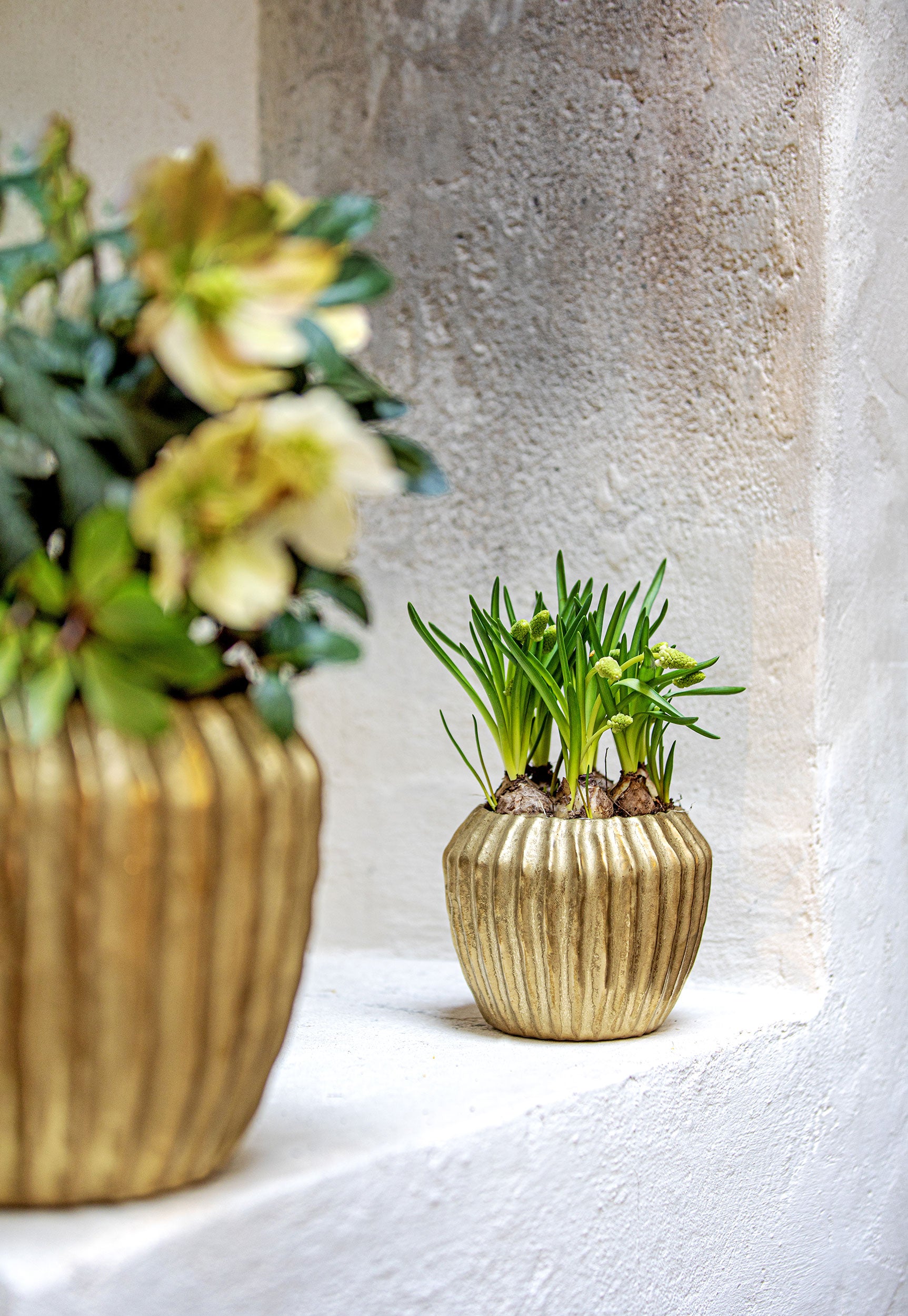 Cachepot, Solchi - Ceramica, 26,5x26,5x23 cm