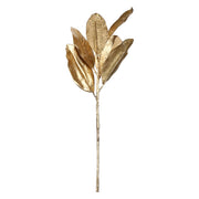 Set da 24, Foglie Magnolia, Tadoro - Tessuto e PVC, 35 x 55h cm