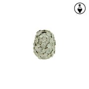 Green Vase S, Fiorinfiorello - Stoneware, 13x13x17 cm