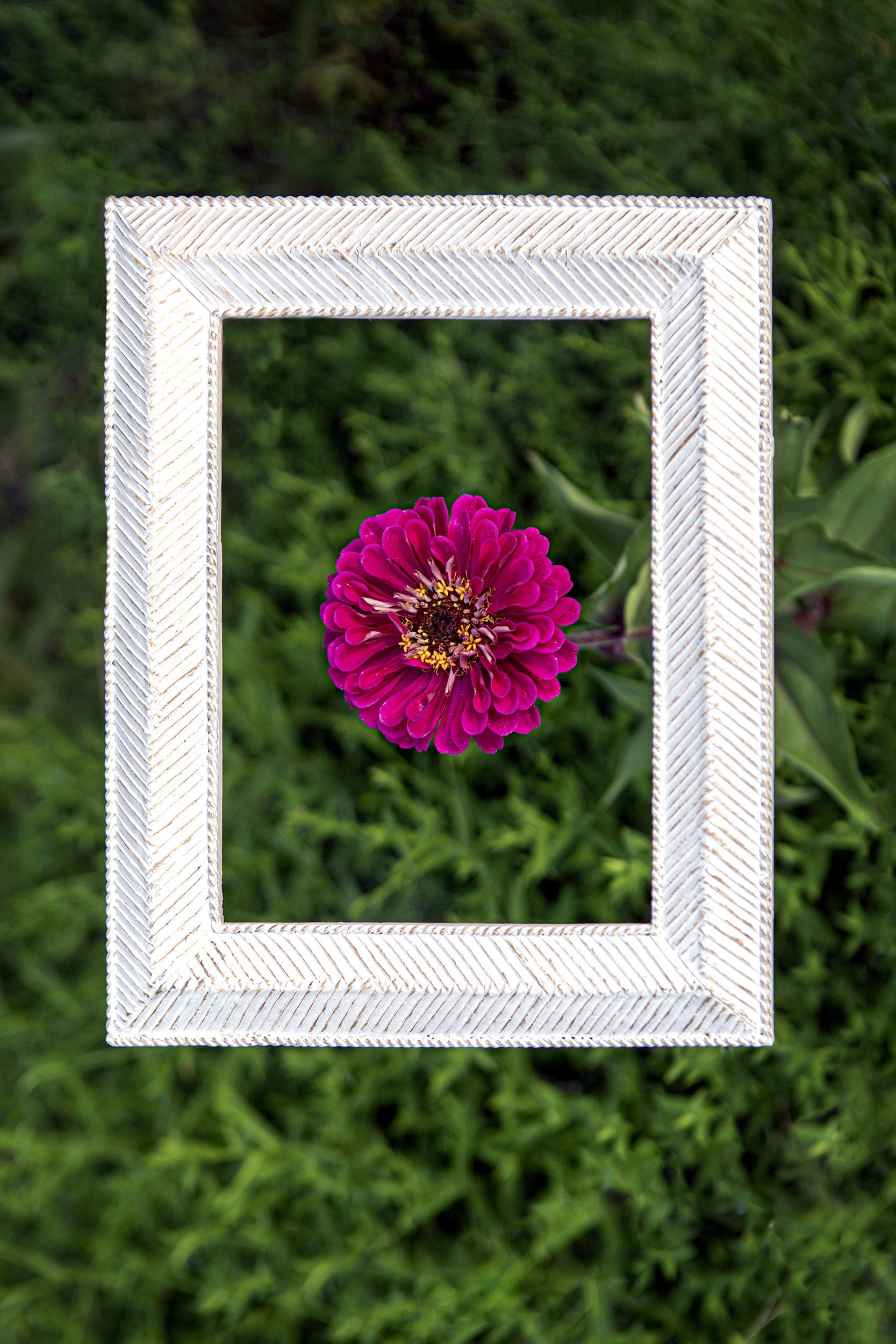 Portafoto Annodo, Tiguardo - Resina, 19,5x2,1x24,6 cm