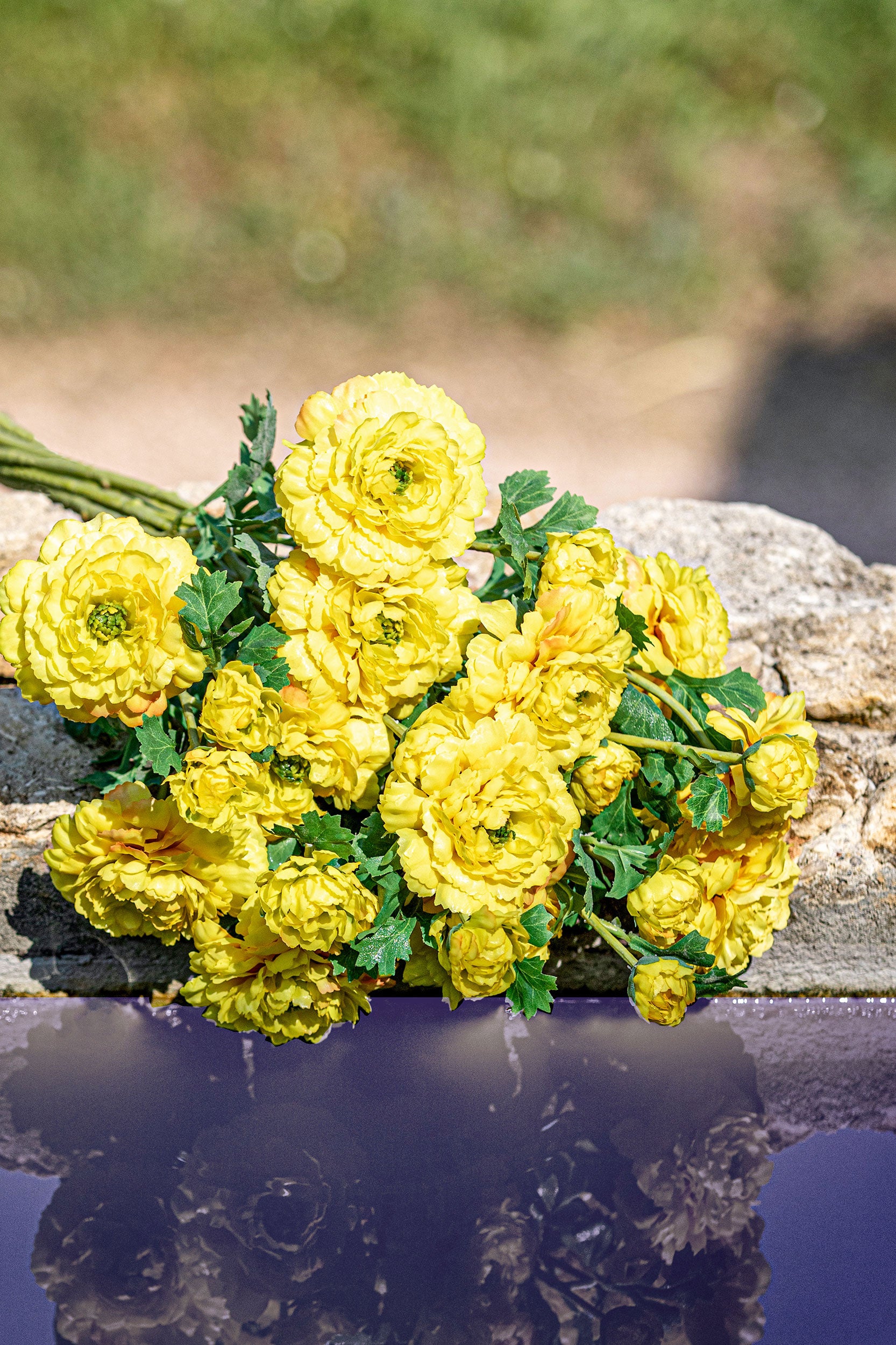 Set da 12, Ranuncolo Pompon, Fiorile - Poliestere, ferro, 72 cm