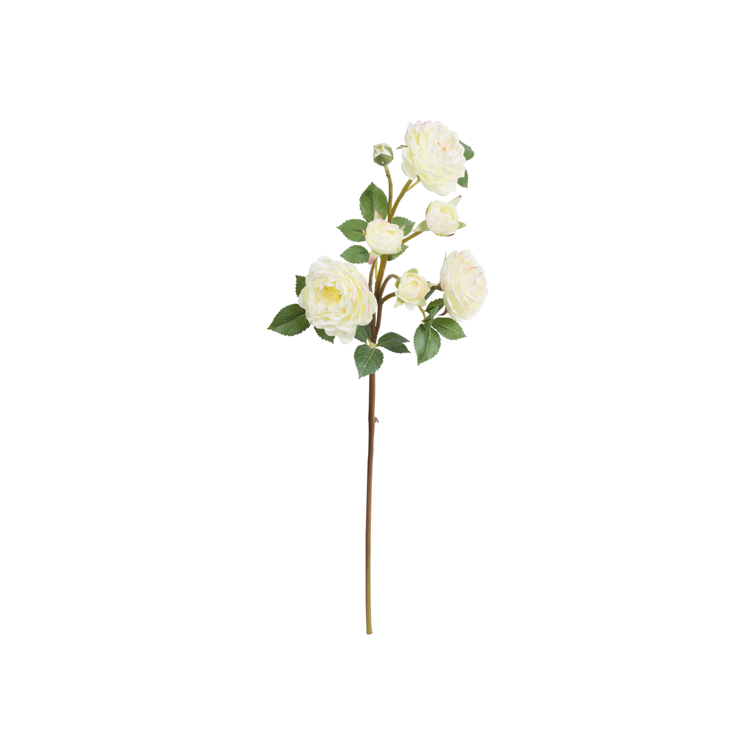 Set da 12, Rosa Antonietta Bianco, Fiorile - Poliestere, ferro, 54 cm