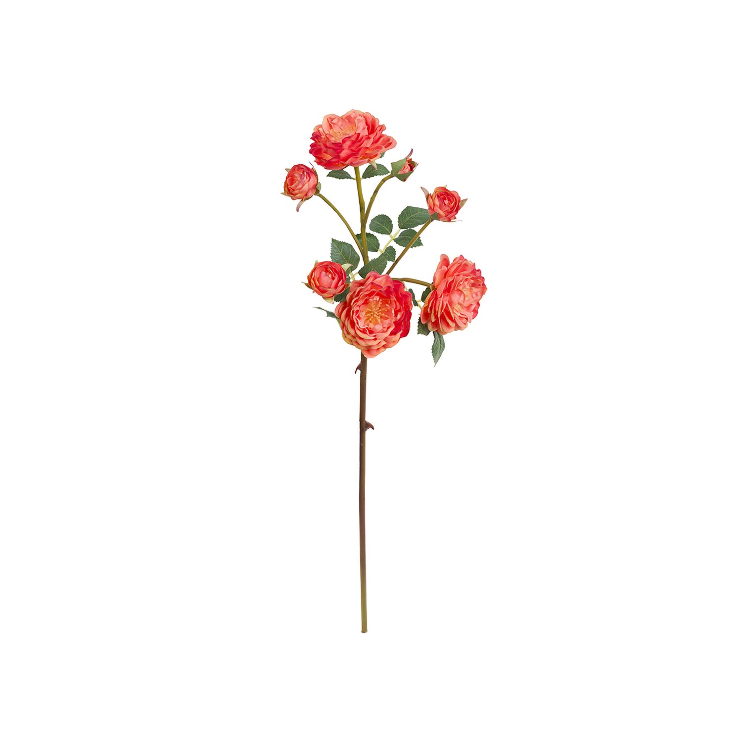 Set da 12, Rosa Antonietta Arancio, Fiorile - Poliestere, ferro, 54 cm