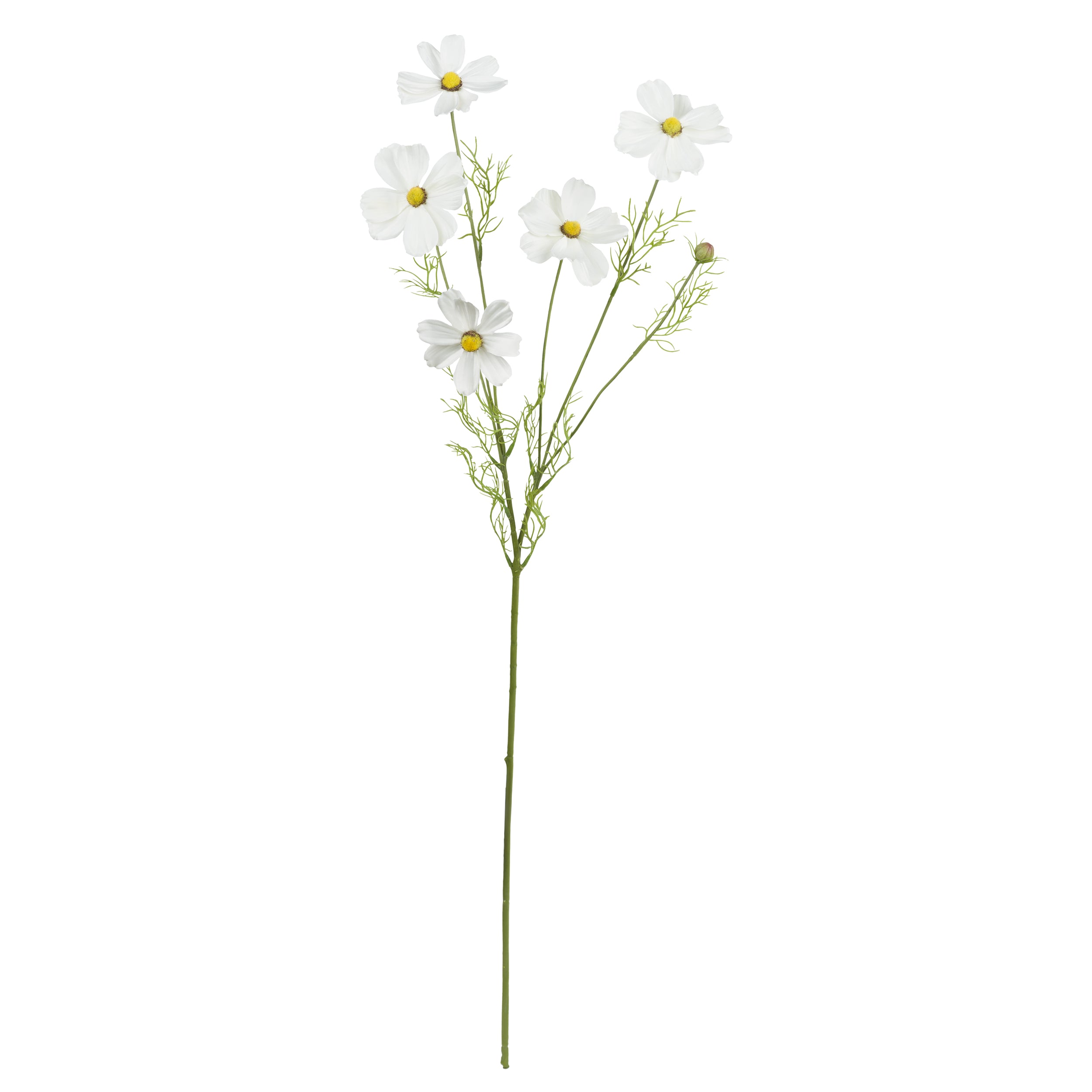 Set da 12, Cosmea Ramo Bianca, Fiorile - Poliestere, ferro, 78 cm