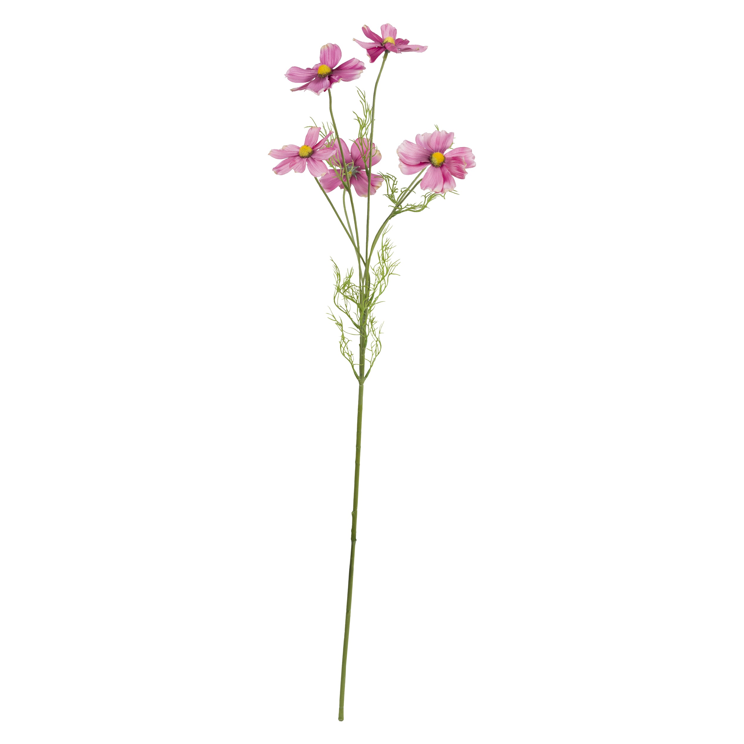 Set da 12, Cosmea Ramo Rosa, Fiorile - Poliestere, ferro, 78 cm