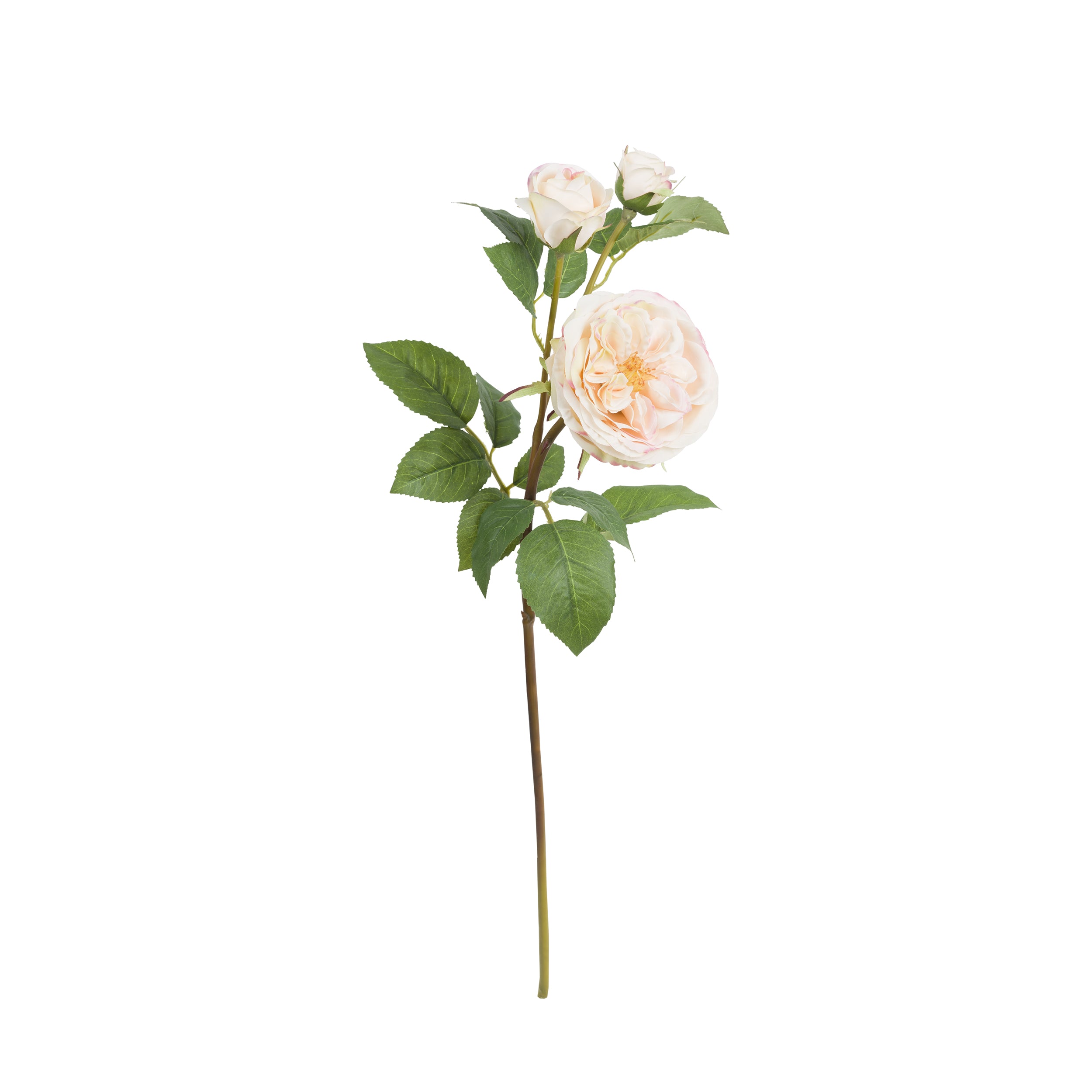 Set da 12, Rosa Pier Bianco, Fiorile - Poliestere, ferro, 58 cm