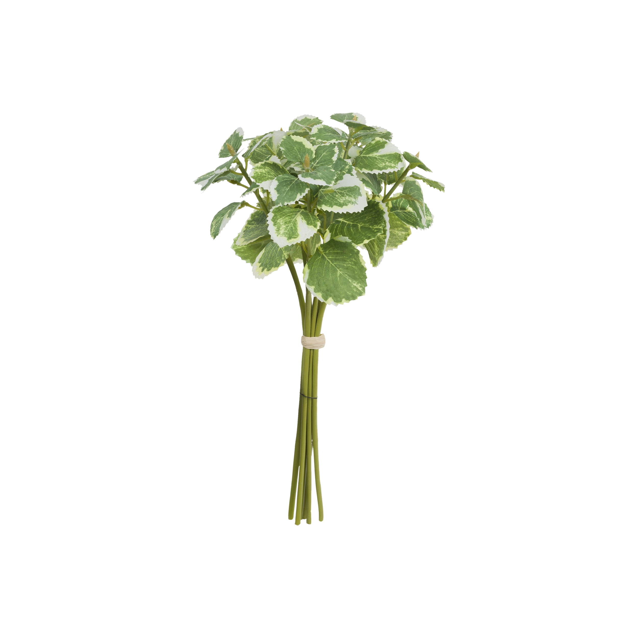 Set da 12, Menta, Ilmazzolino - Poliestere, ferro, 29 cm