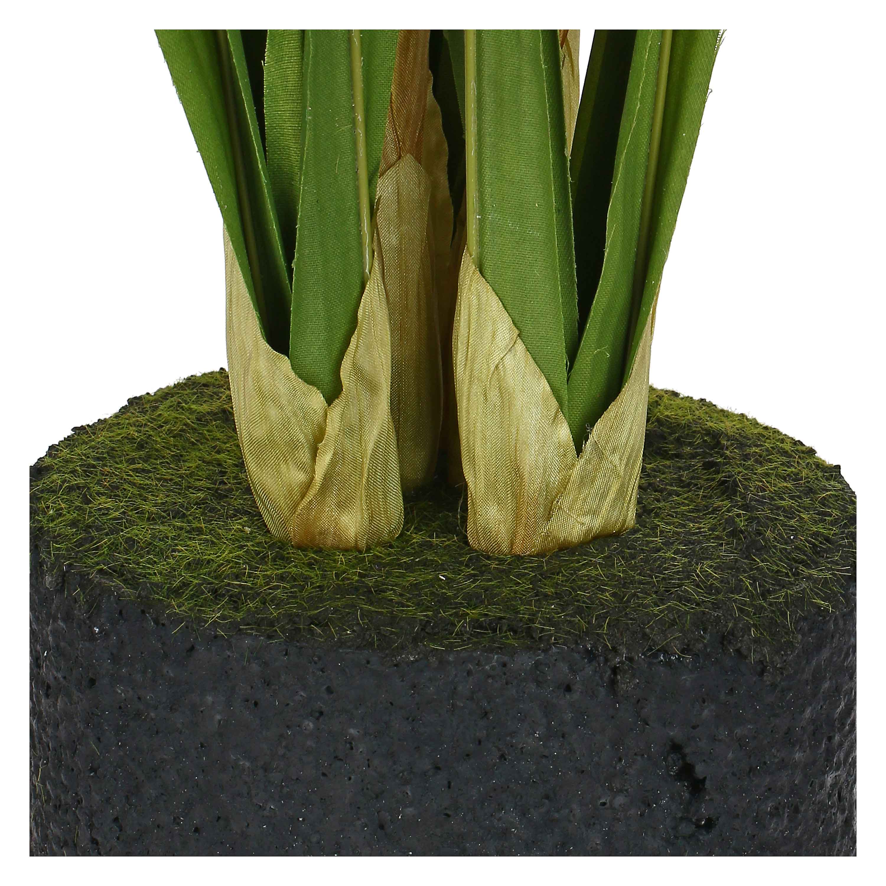 Set da 2, zolla Cymbidium Rosa M, Veronica - Lattice, ferro, polistirolo, cemento, 32x22x55 cm