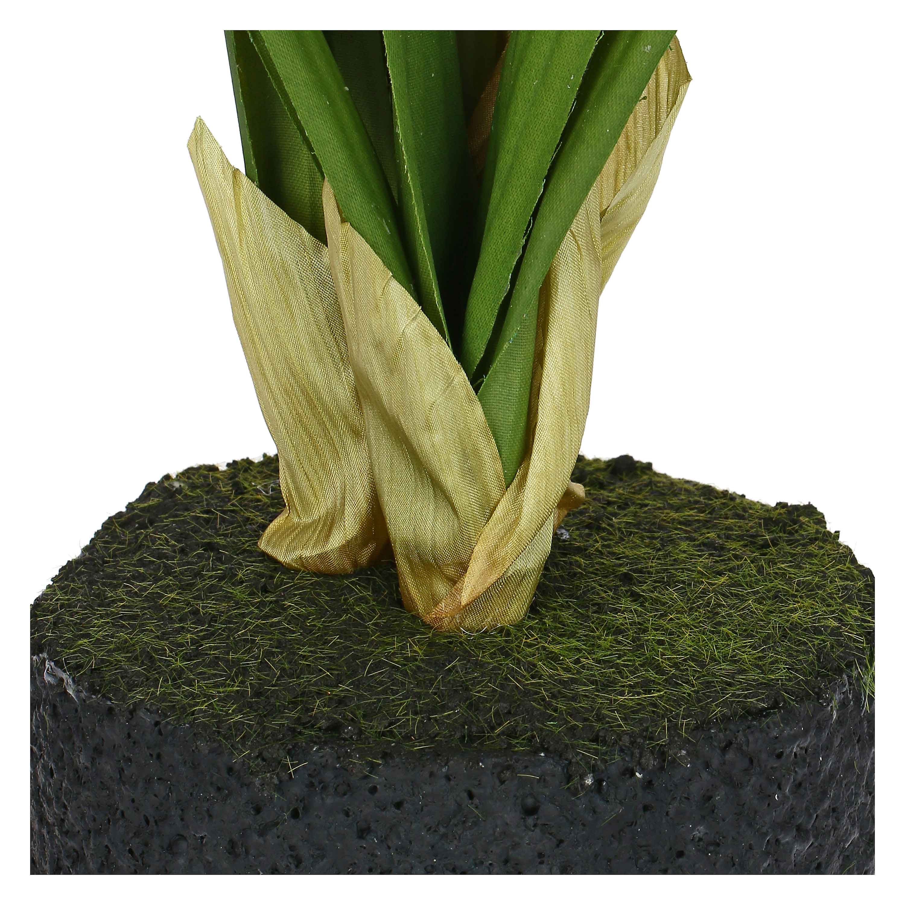 Set of 2, Cymbidium Rosa S, Veronica root ball - Latex, iron, polystyrene, cement, 22x22x46 cm