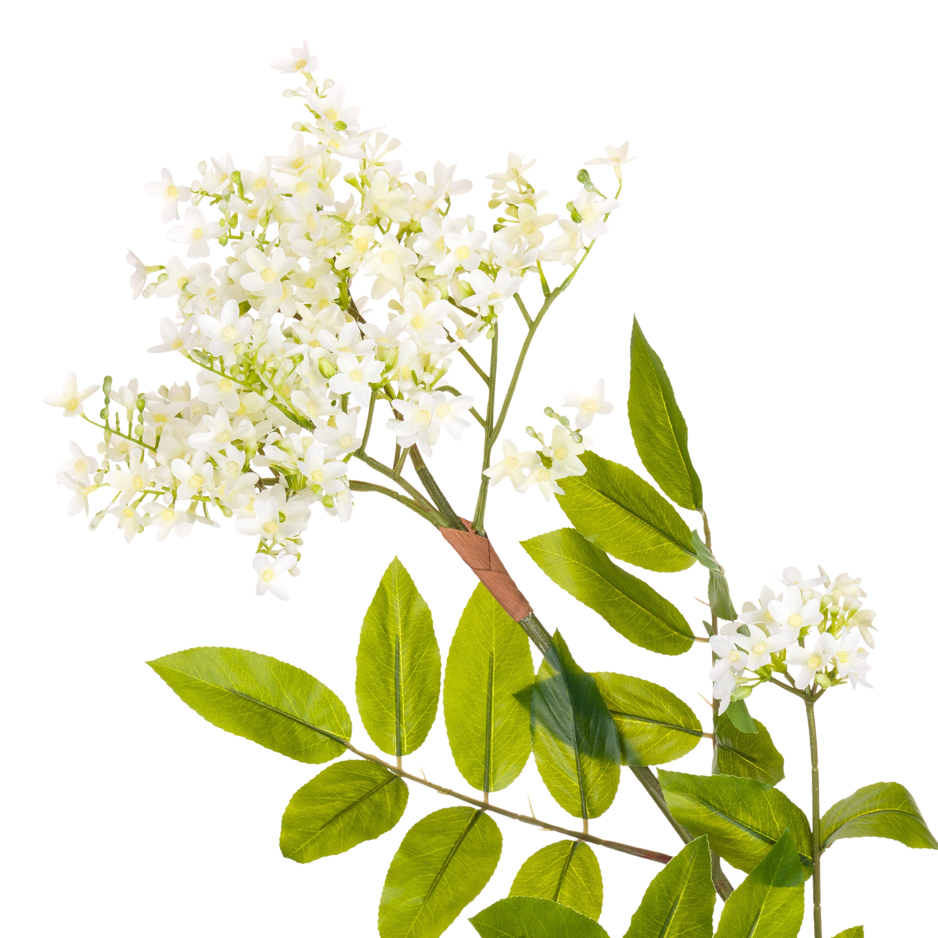 Set da 6 - Fiorile Sambuco - Pvc,43xx87 cm