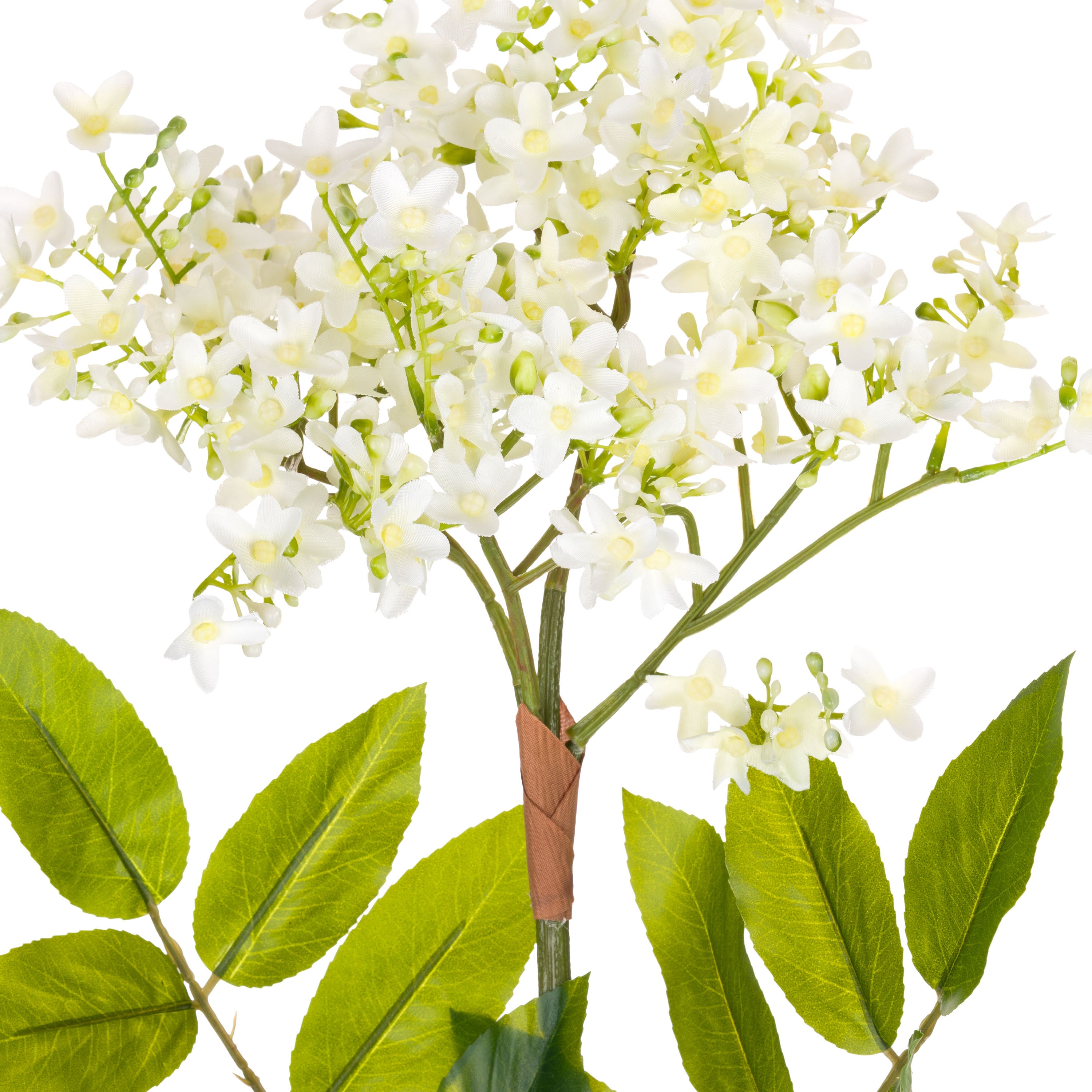 Set da 6 - Fiorile Sambuco - Pvc,43xx87 cm