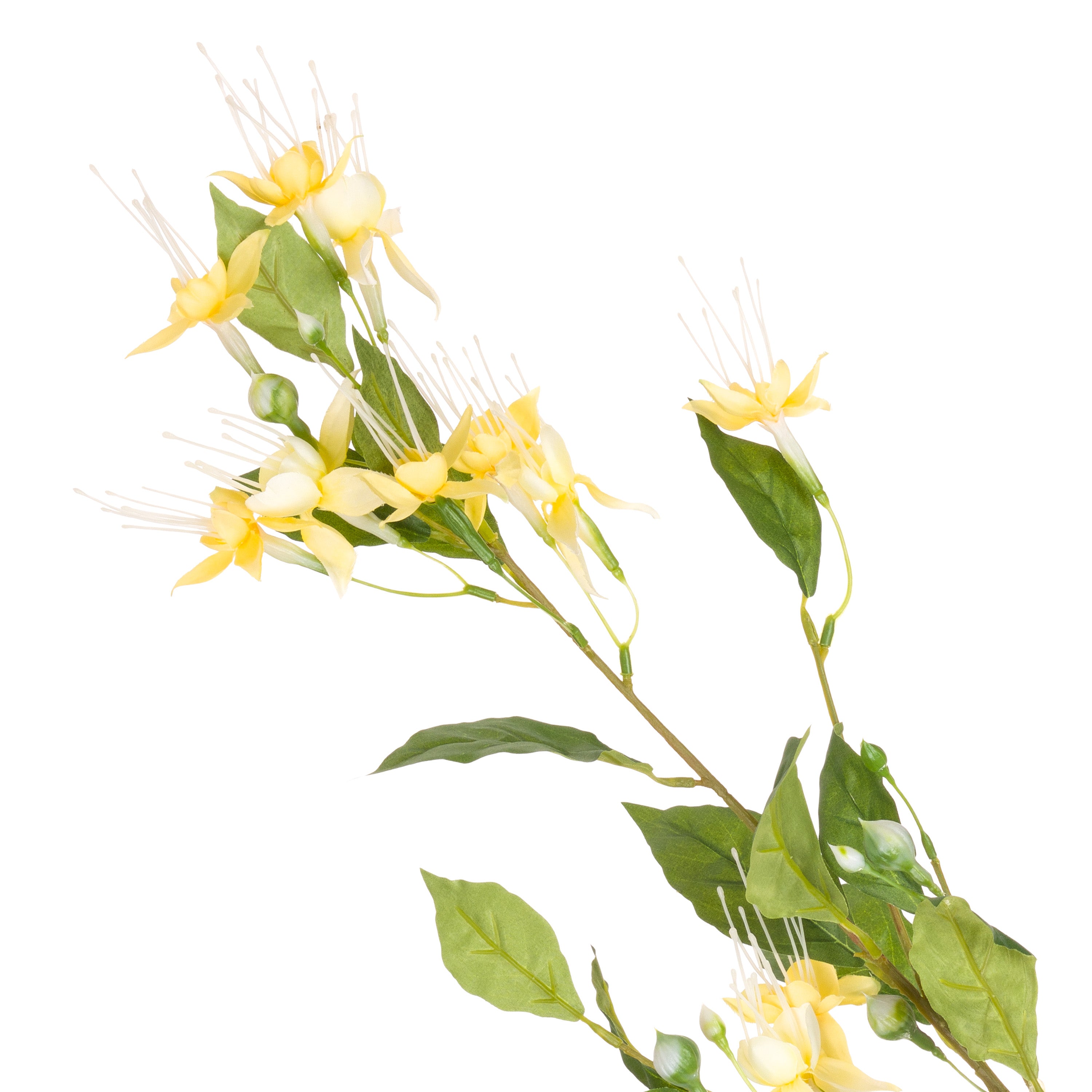 Set da 12 - Fiorile Fucsia Giallo Chiaro - Pvc,38x38x99 cm