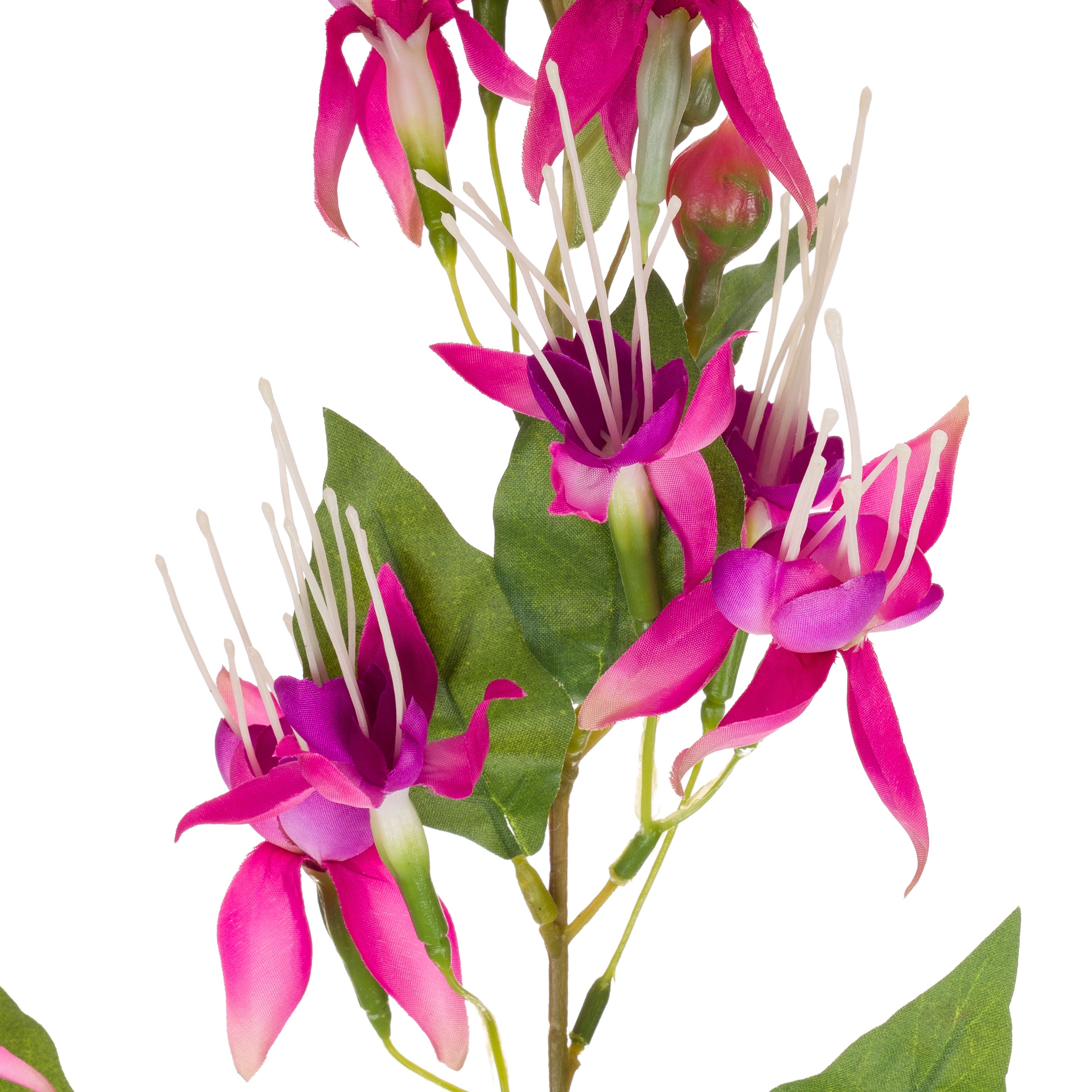 Set da 12 - Fiorile Fucsia Rosa Scuro - Pvc,38x38x99 cm