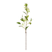 Set da 12 - Fiorile Fucsia Lime - Pvc,38x38x99 cm