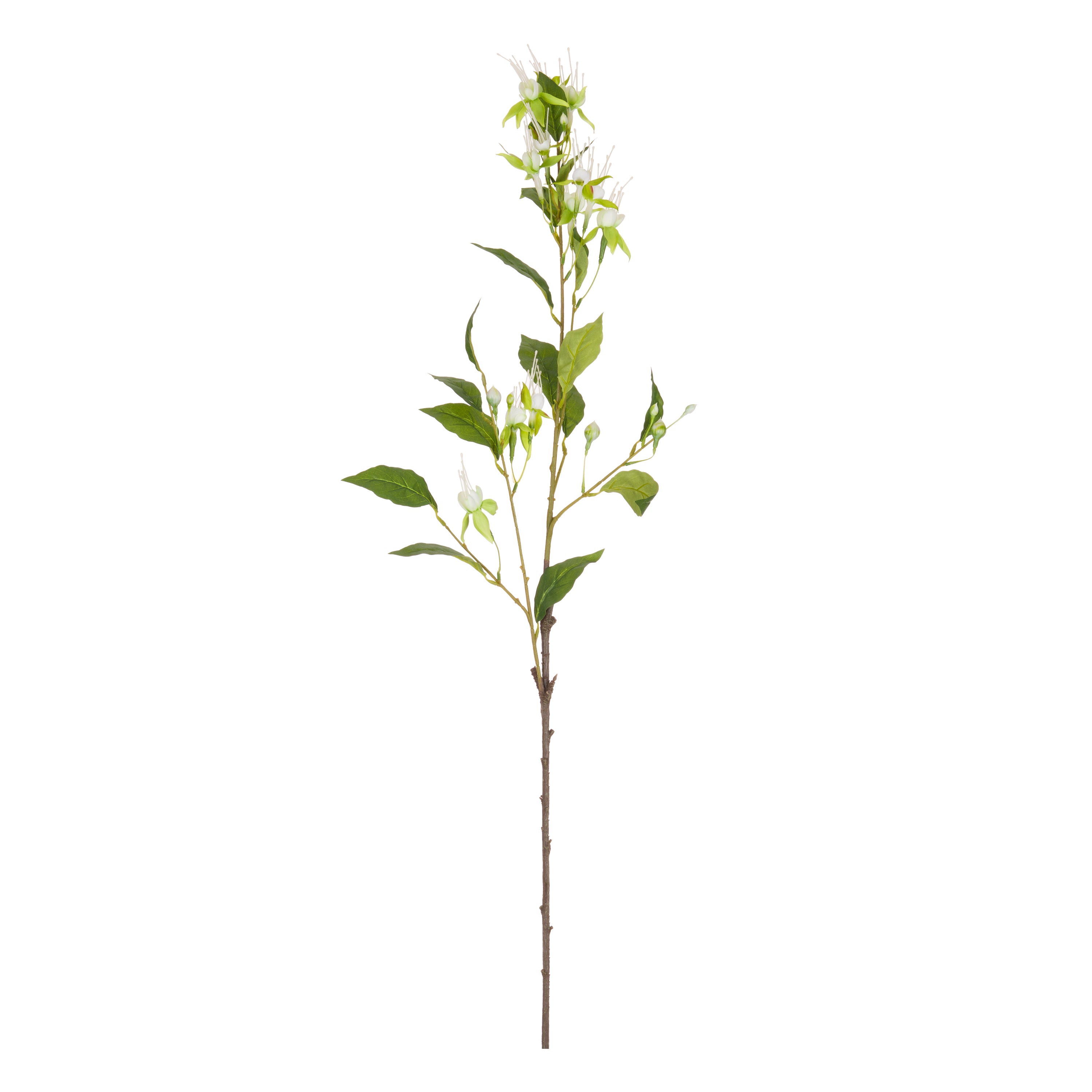 Set da 12 - Fiorile Fucsia Lime - Pvc,38x38x99 cm