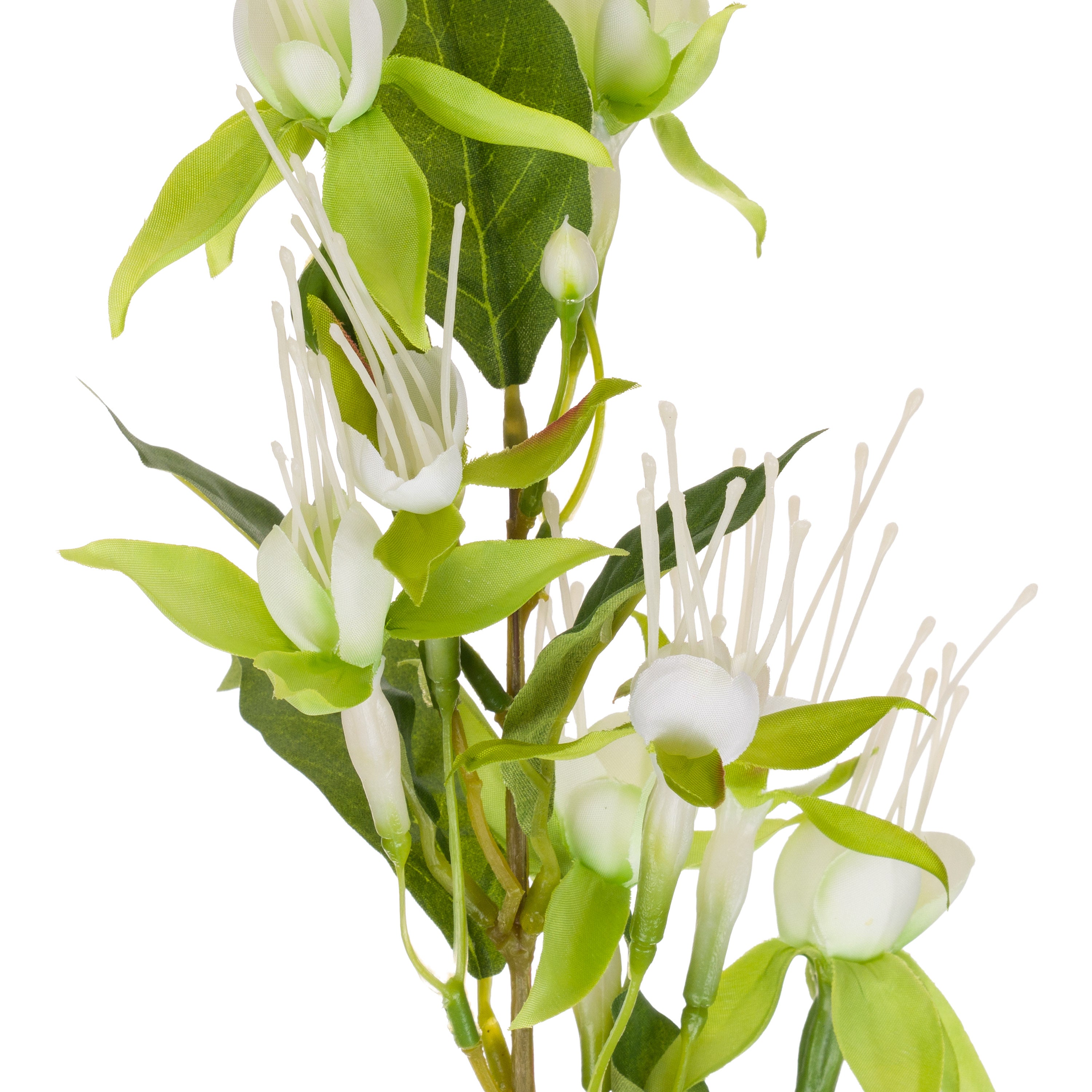 Set da 12 - Fiorile Fucsia Lime - Pvc,38x38x99 cm