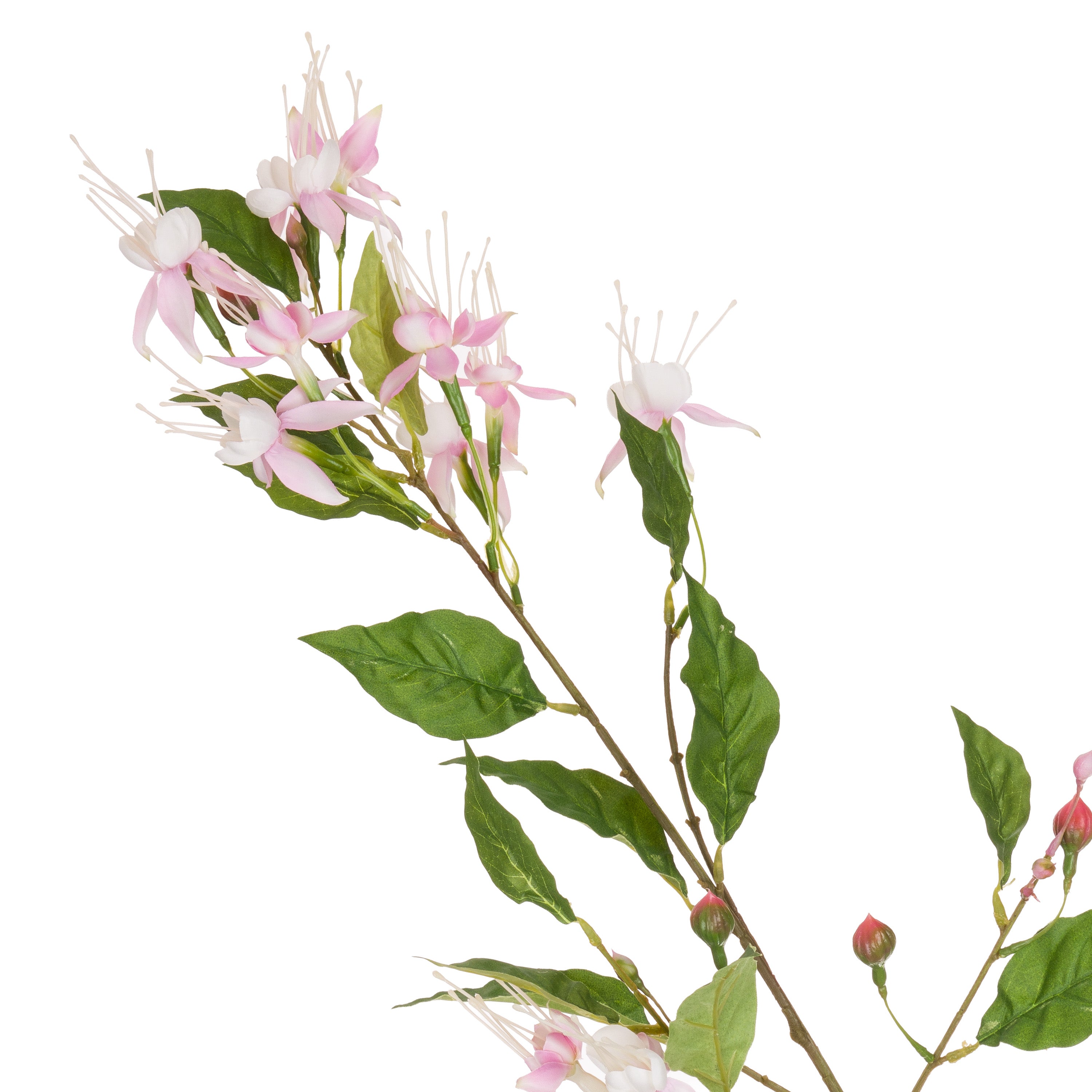 Set da 12 - Fiorile Fucsia Rosa Chiaro - Pvc,38x38x99 cm