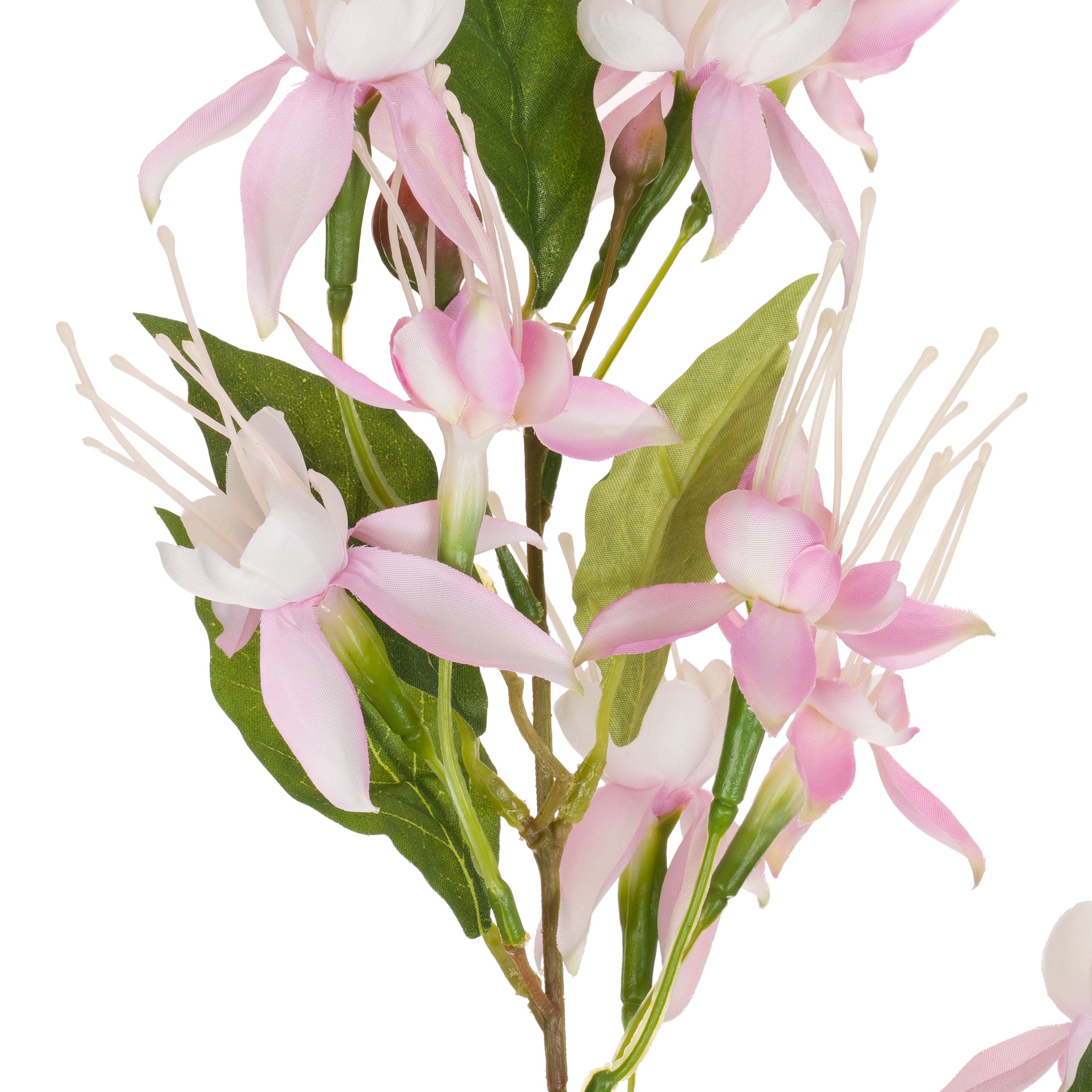 Set da 12 - Fiorile Fucsia - Pvc, 38x38cm