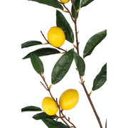 Set da 12 - Fiorile Ramo Limoni - Pvc,h86 cm