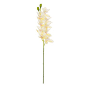 Set da 12 - Fiorile Cymbidium Bianco  - Pvc,18x10x76 cm
