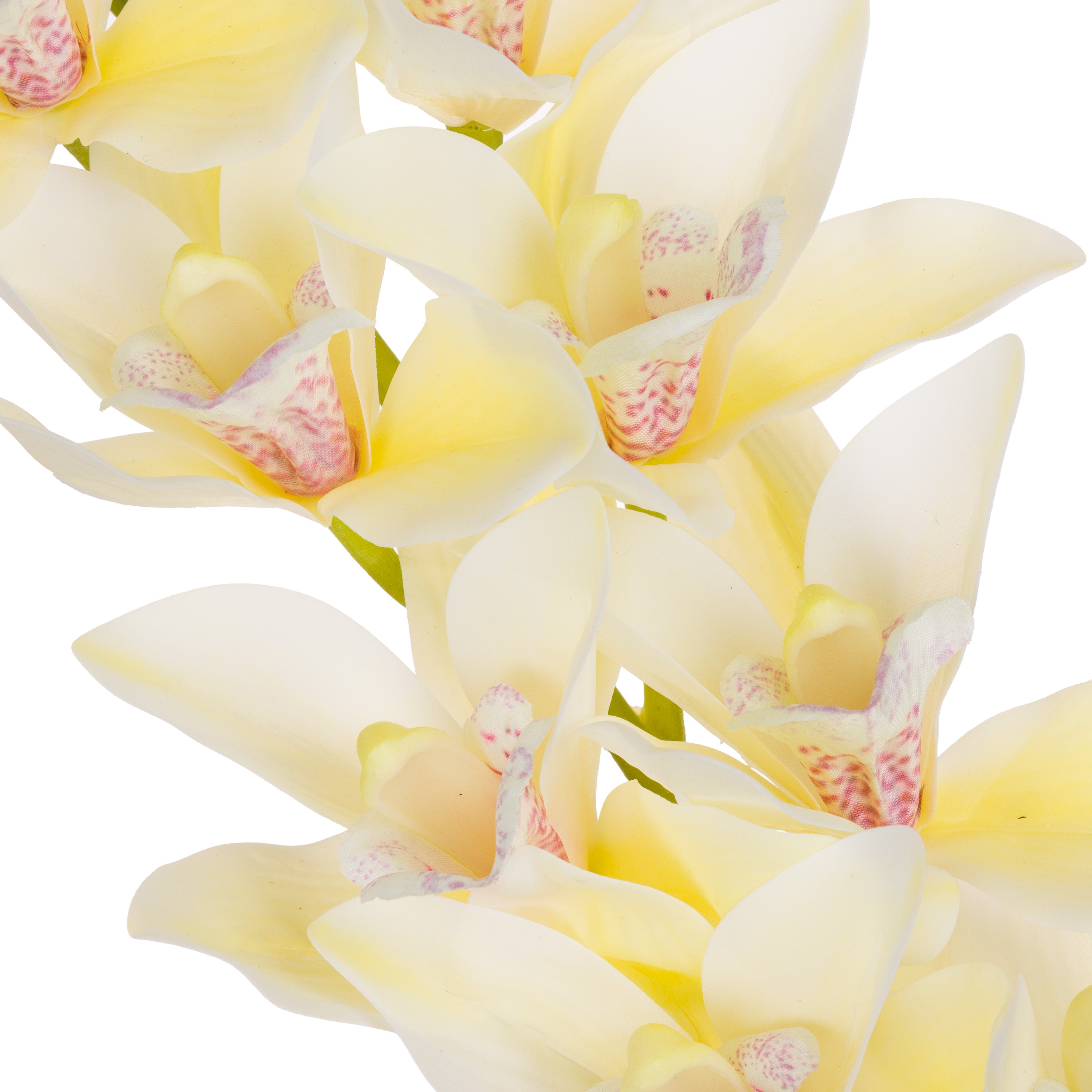 Set da 12 - Fiorile Cymbidium Bianco  - Pvc,18x10x76 cm