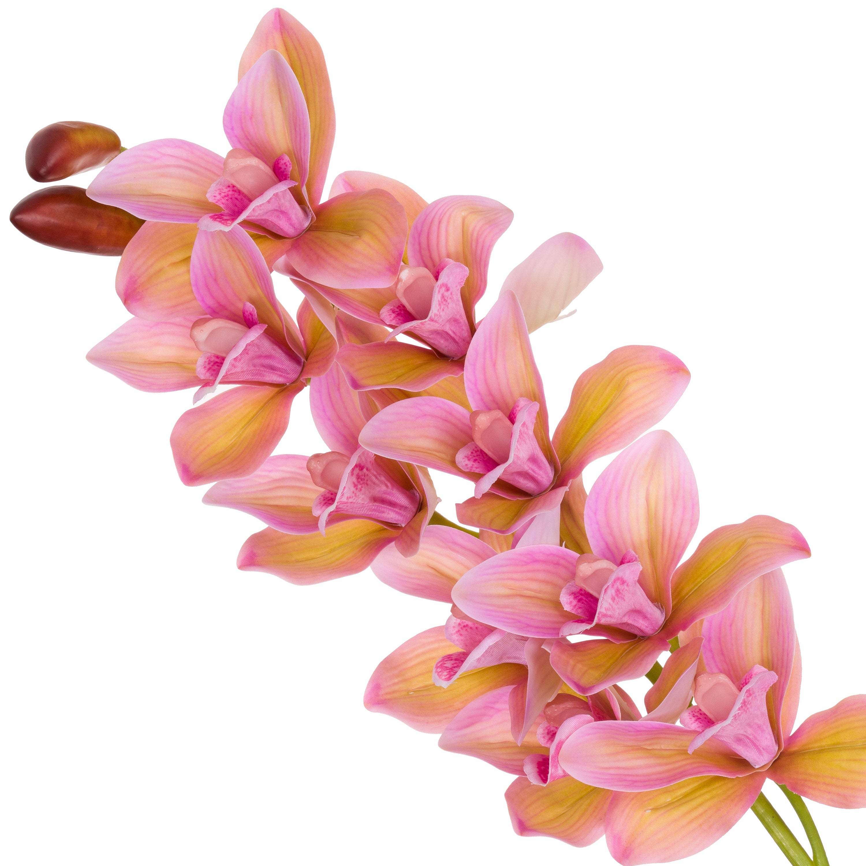 Set da 12 - Fiorile Cymbidium Rosa - Pvc,18x10x76 cm