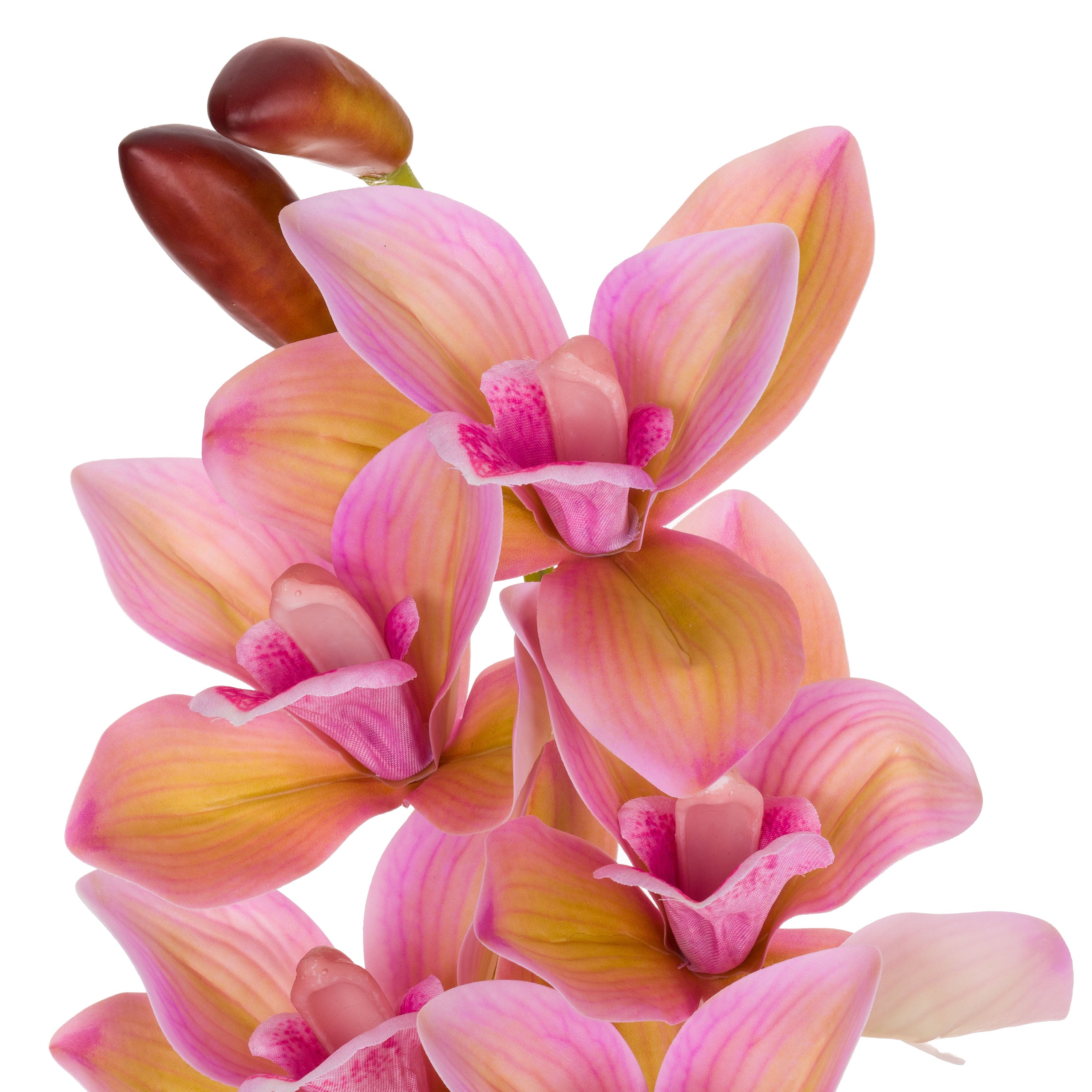 Set da 12 - Fiorile Cymbidium Rosa - Pvc,18x10x76 cm
