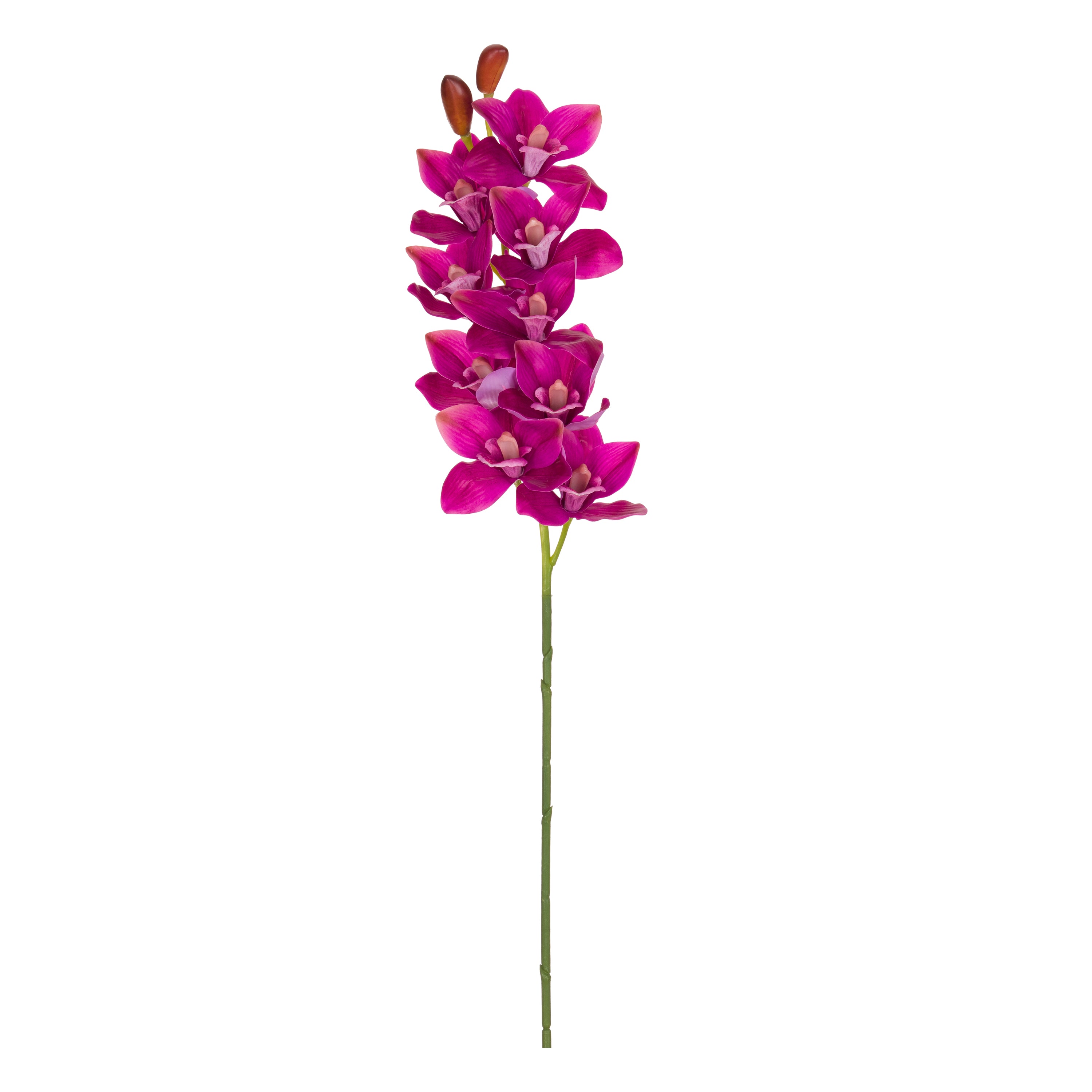 Set da 12 - Fiorile Cymbidium Fucsia - Pvc,18x10x76 cm