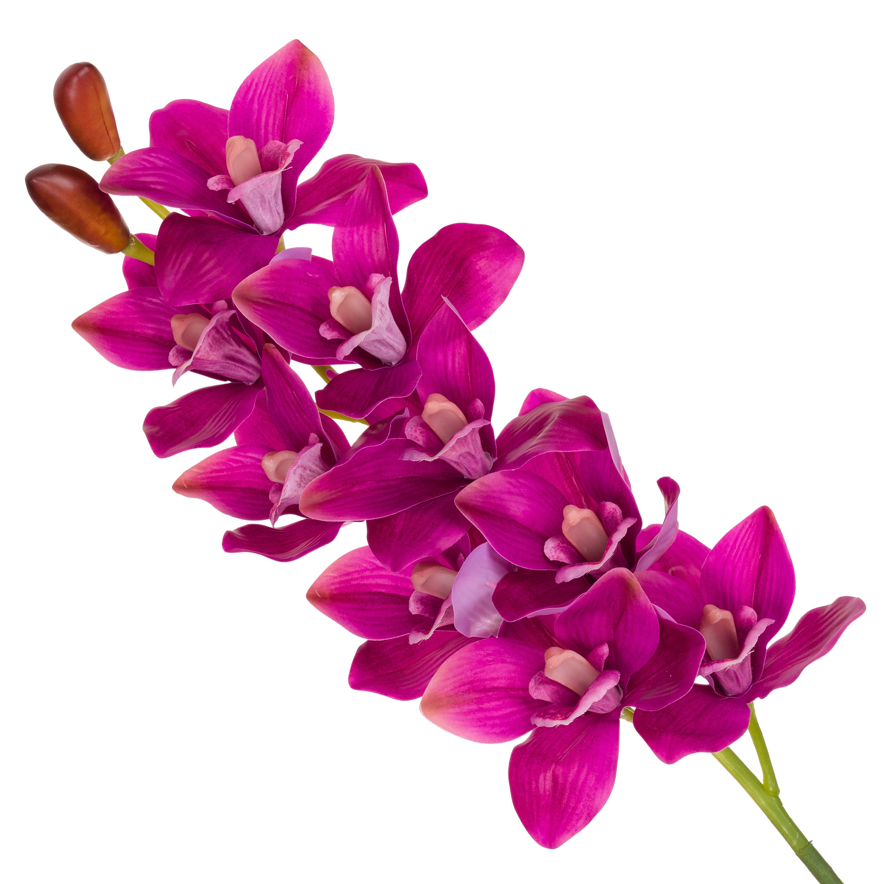 Set da 12 - Fiorile Cymbidium Fucsia - Pvc,18x10x76 cm