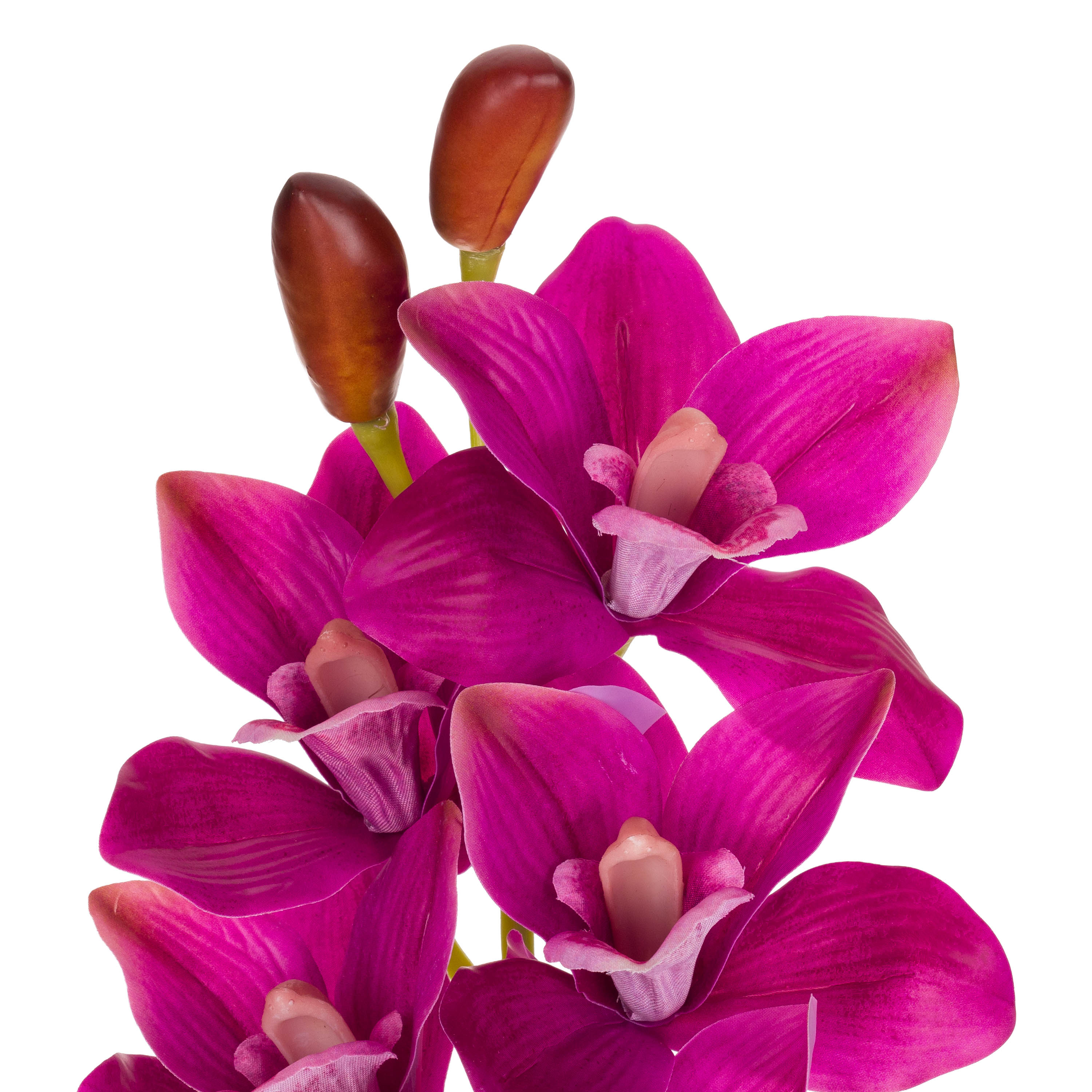 Set da 12 - Fiorile Cymbidium Fucsia - Pvc,18x10x76 cm